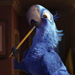 Main Characters In Rio And Rio 2 Rio Wiki Fandom