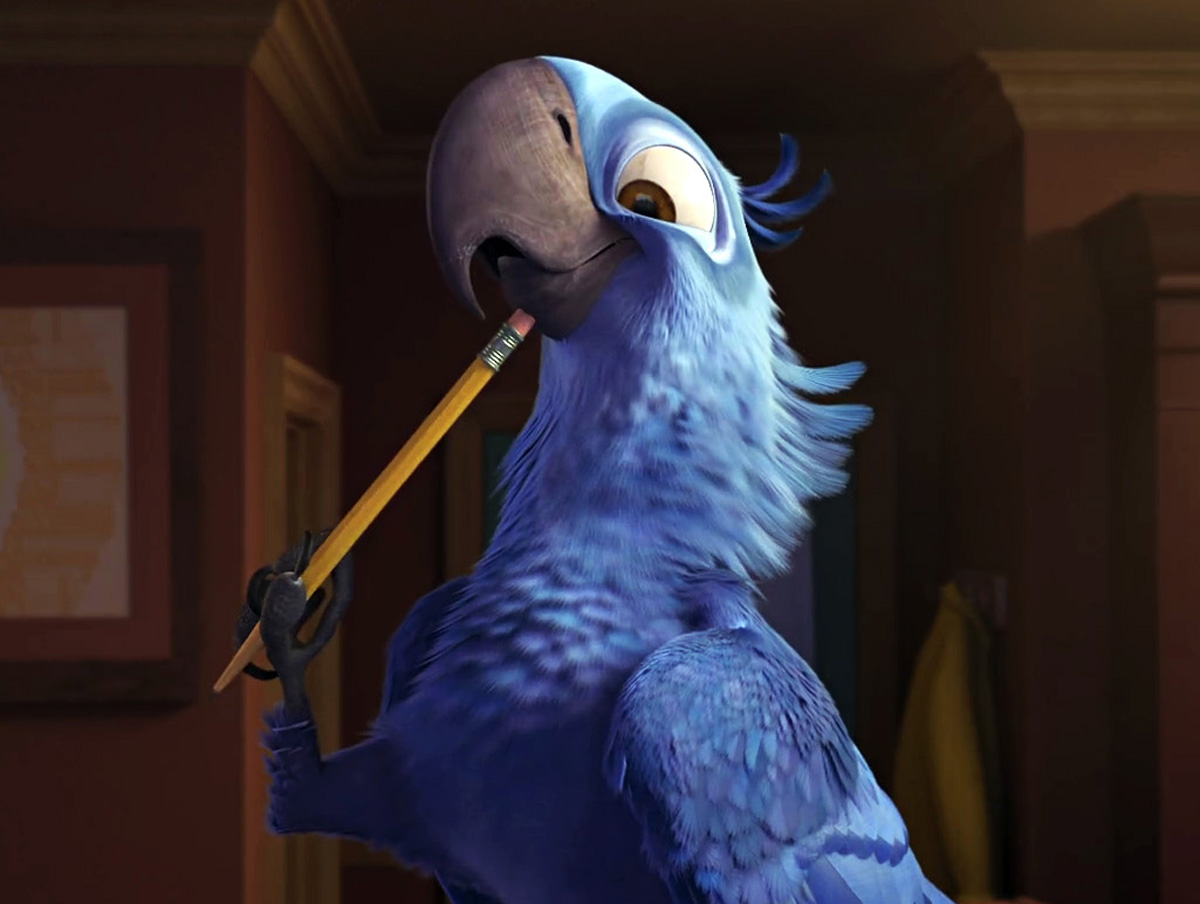 Main Characters In Rio And Rio 2 Rio Wiki Fandom