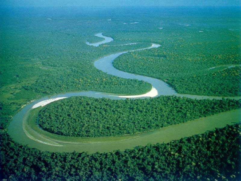 Amazon River Rio Wiki Fandom