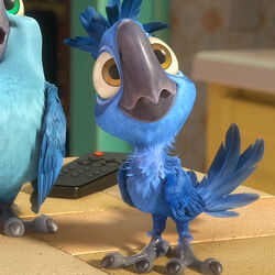 Main Characters In Rio And Rio 2 Rio Wiki Fandom