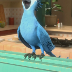 Main Characters In Rio And Rio 2 Rio Wiki Fandom