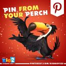 Pin From Your Perch.