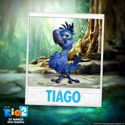 Tiago Gallery Rio Wiki Fandom