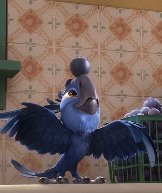 Tiago Wiki Rio Fandom Tiago Wiki Rio Fandom