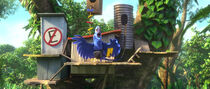 R7 blu scena rio 2