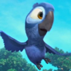 Category Characters In Rio 2 Rio Wiki Fandom