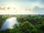 Selva Tropical