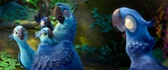 Rio-2-Official-Trailer-3-18.jpg (803 KB)