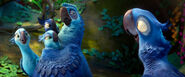 Rio-2-Official-Trailer-3-18 blu edwardo julia tiago bia carla scena rio 2