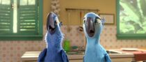 Blu and Jewel News blu julia scena rio 2