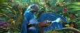 Seeking Out and Finding the Blue Macaws 11.