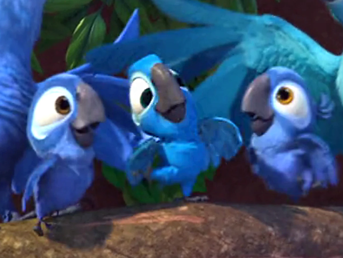 Жемчужинка и голубчик из рио картинки