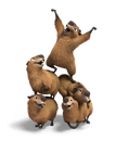 Capybaras