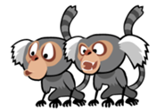 The Marmosets