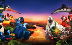 rio 2 felipe