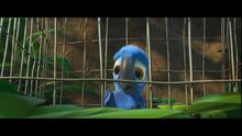 Rio blu baby trapped in cage