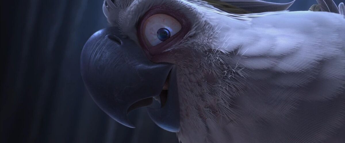 nigel-rio-wiki-fandom