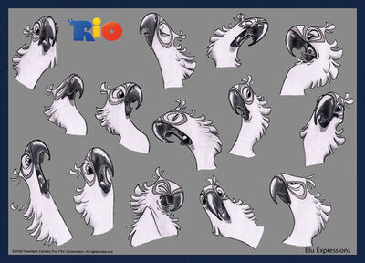 Rio-blu-expressions.jpg