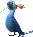 Rio2 perlaa