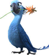 Rio2 perlaa