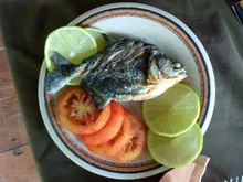 A piranha, lightly grilled, served as food in the Peruvian Amazon