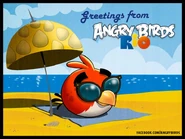 Greetings from Angry Birds Rio.