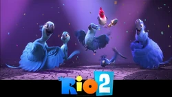 Pedro Gallery Rio Wiki Fandom