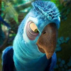 Category Characters In Rio 2 Rio Wiki Fandom