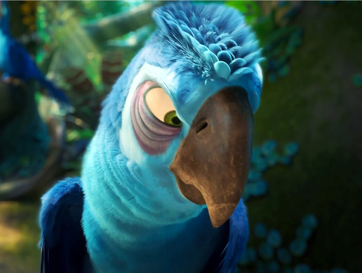 the birds from rio 2 movie