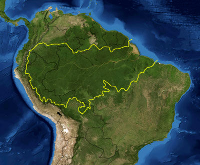 Amazon Rainforest | Rio Wiki | Fandom