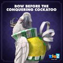 Bow before the conquering cockatoo