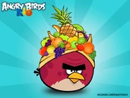 Angry birds