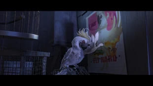 20140429121110!Rioscreenshot nigel.jpg (795 KB)