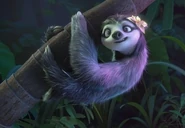 The female sloth 2.jpg (76 KB)
