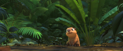 Baby capybara singing in Rio 2 🥰 #cappibarra #rio2 #capybara