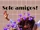 Camunzel