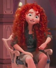 Internet-WIR2 Merida in modern clothes