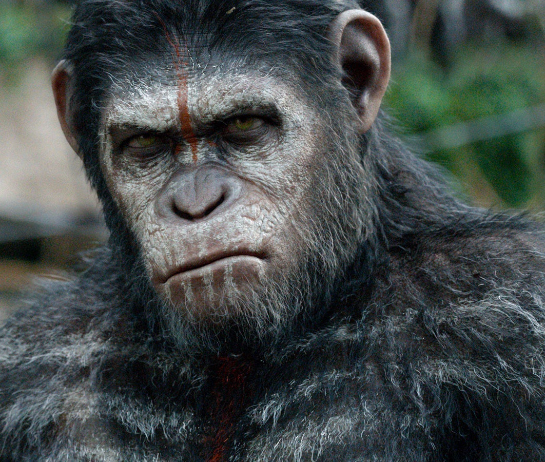 rise of the apes caesar