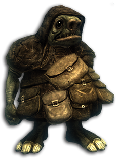 Gnom.png