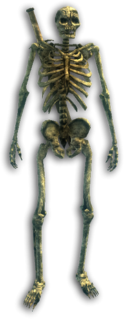 39.png