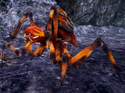 Rock-Spider