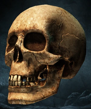 Skull of Death | RISEN Wiki | Fandom