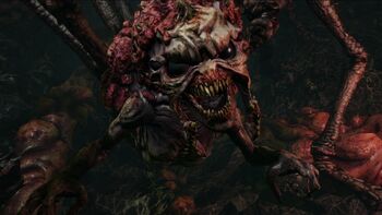 R3 Margoloth