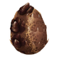 Mudgut Egg ID