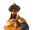 Commanders/Saladin