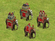 Elephants