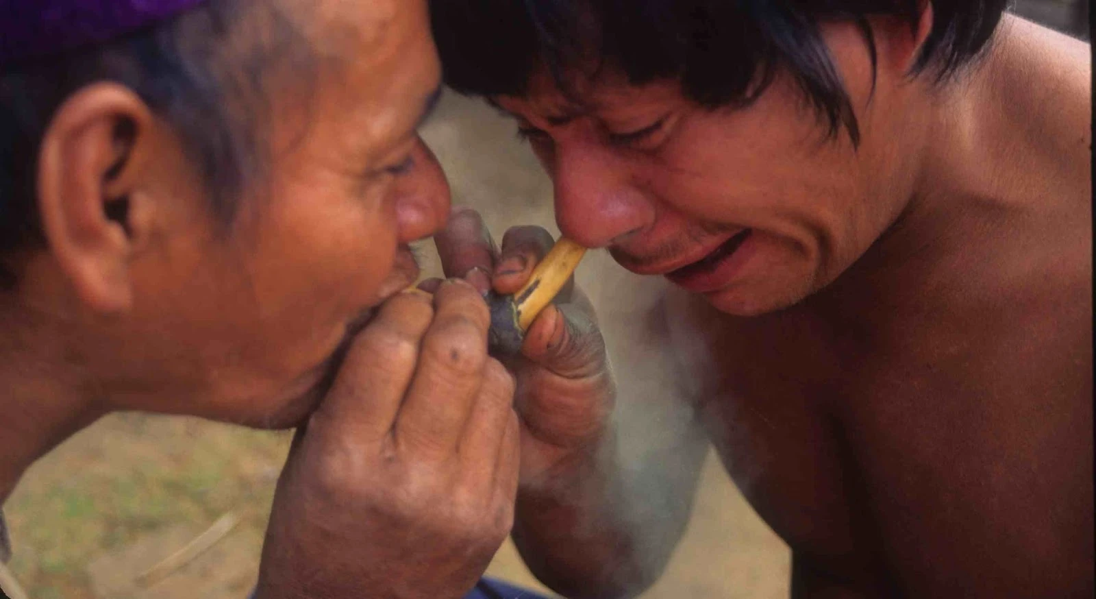 tobacco eating Tobacco/History | Rise of Nations Wiki