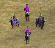 Heavy Knight