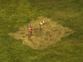 Chicken