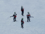 Elite Special Forces snow